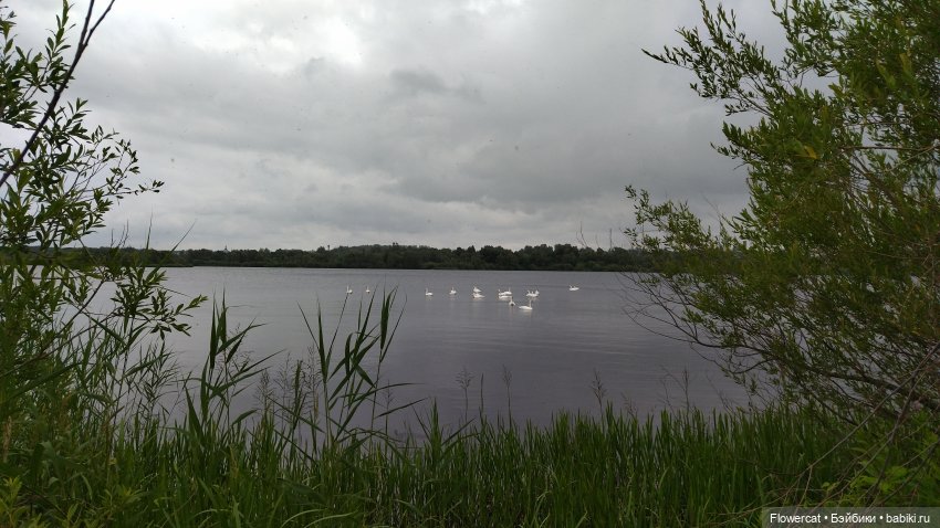 Прогулка на озеро — Разные шарнирные куклы (не БЖД): редкие