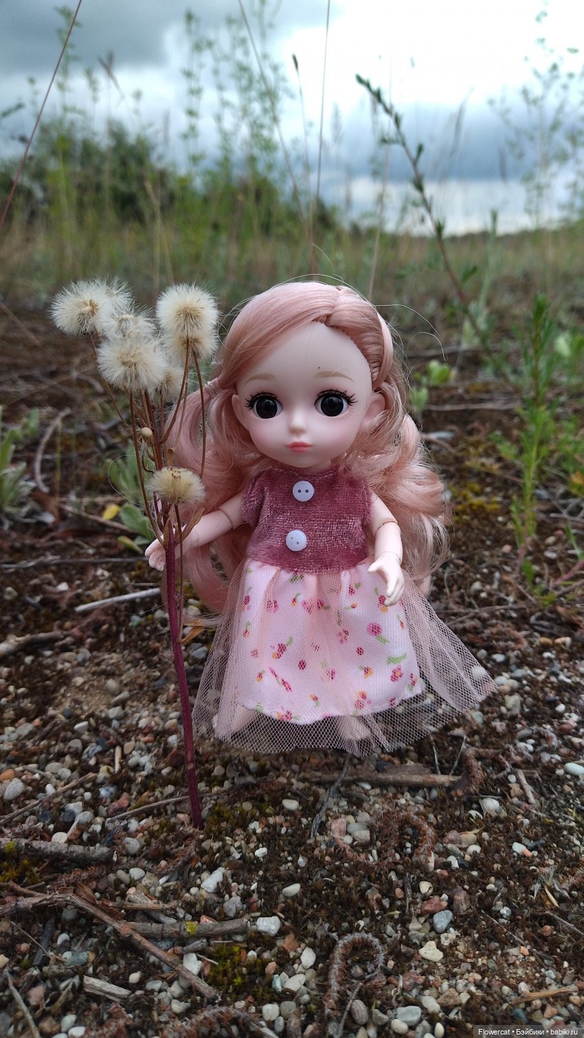 Прогулка на озеро — Разные шарнирные куклы (не БЖД): редкие