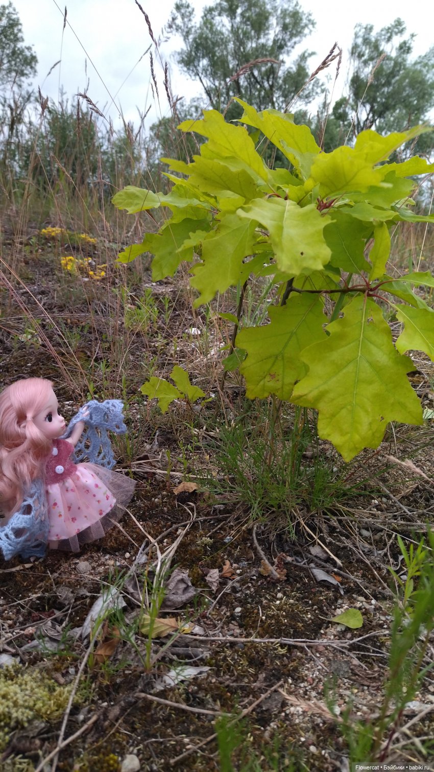 Прогулка на озеро — Разные шарнирные куклы (не БЖД): редкие