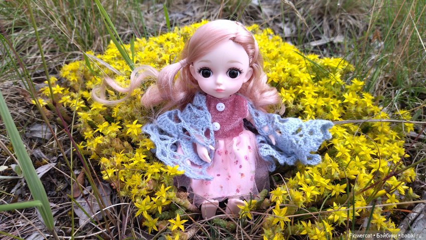 Прогулка на озеро — Разные шарнирные куклы (не БЖД): редкие