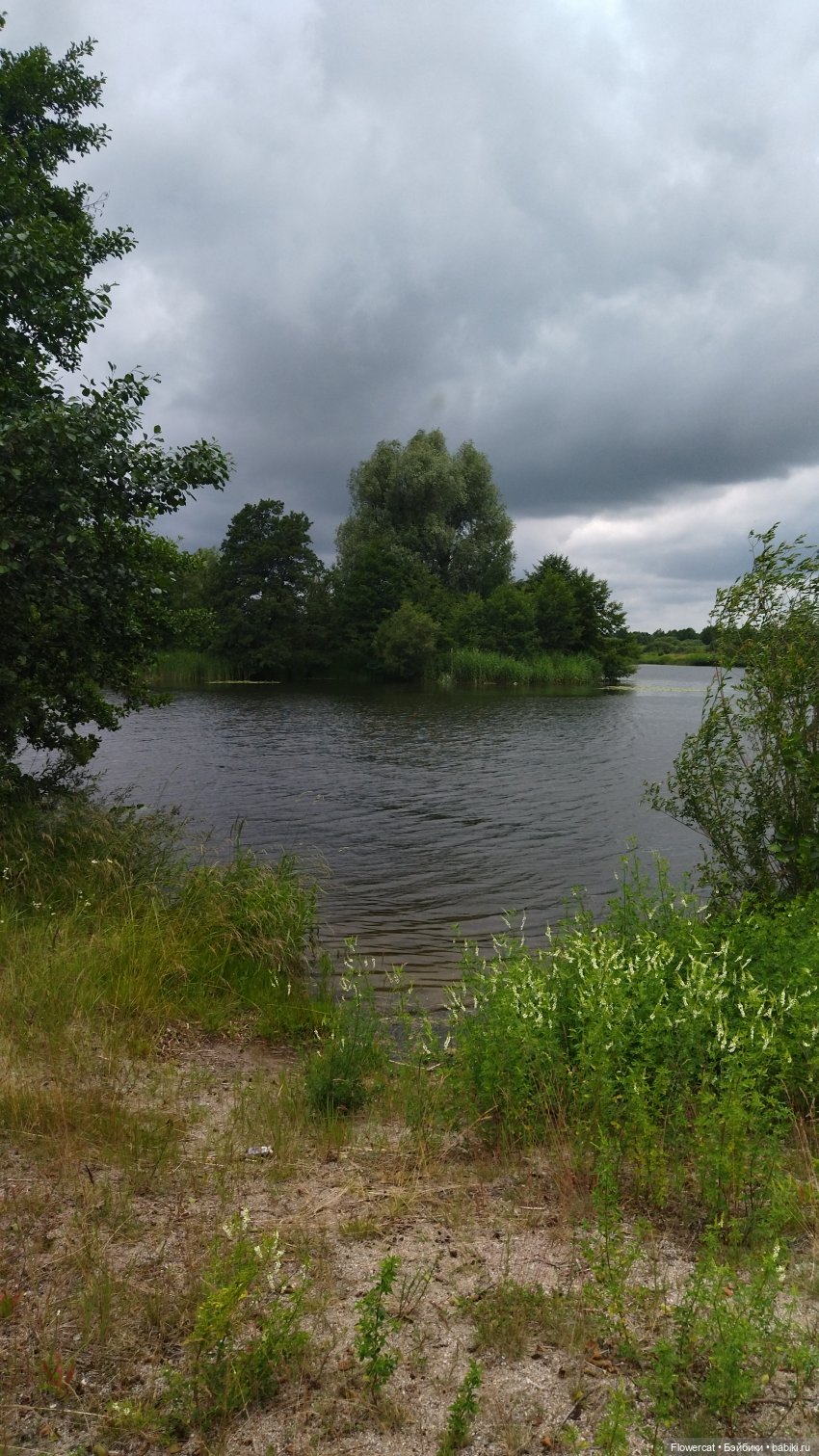 Прогулка на озеро — Разные шарнирные куклы (не БЖД): редкие