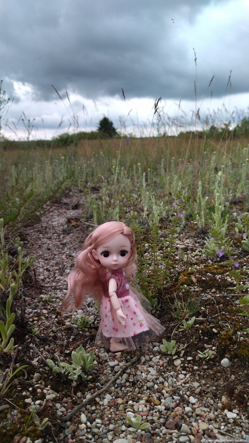 Прогулка на озеро — Разные шарнирные куклы (не БЖД): редкие