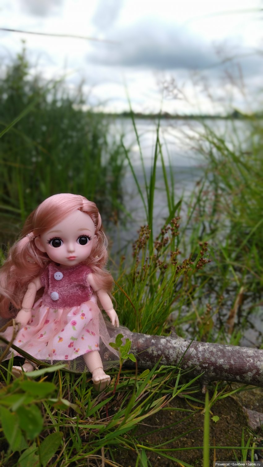 Прогулка на озеро — Разные шарнирные куклы (не БЖД): редкие