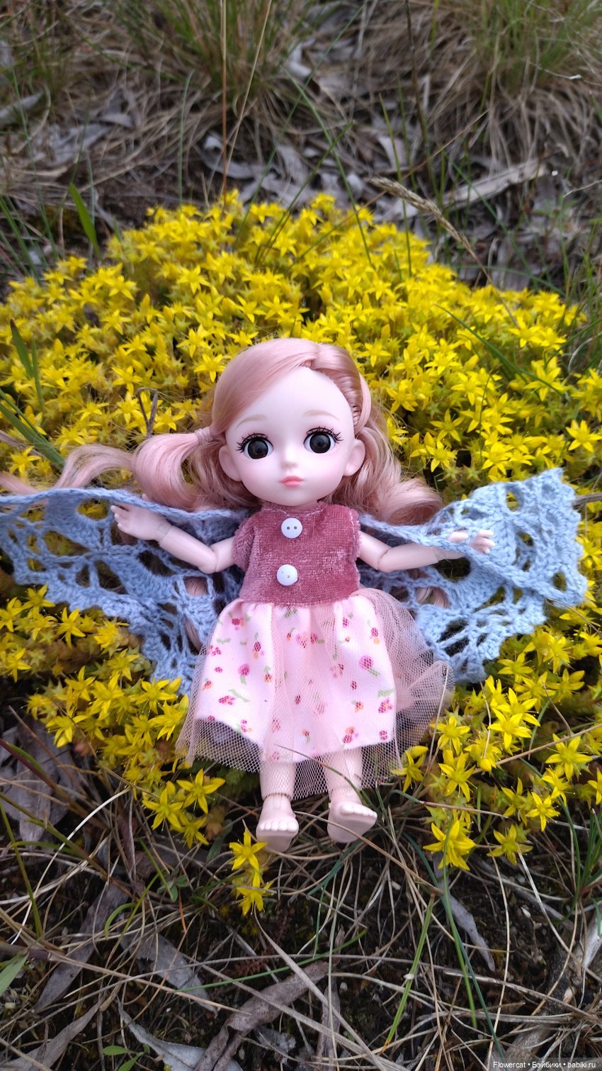 Прогулка на озеро — Разные шарнирные куклы (не БЖД): редкие