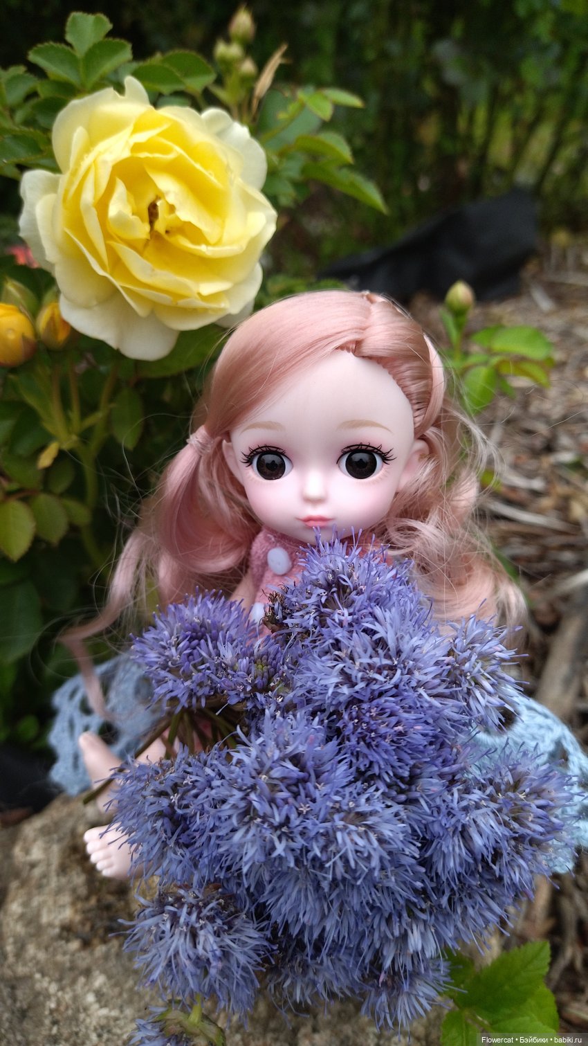 Прогулка на озеро — Разные шарнирные куклы (не БЖД): редкие