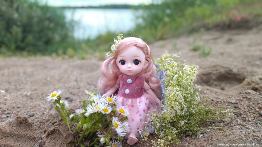 Прогулка на озеро — Разные шарнирные куклы (не БЖД): редкие