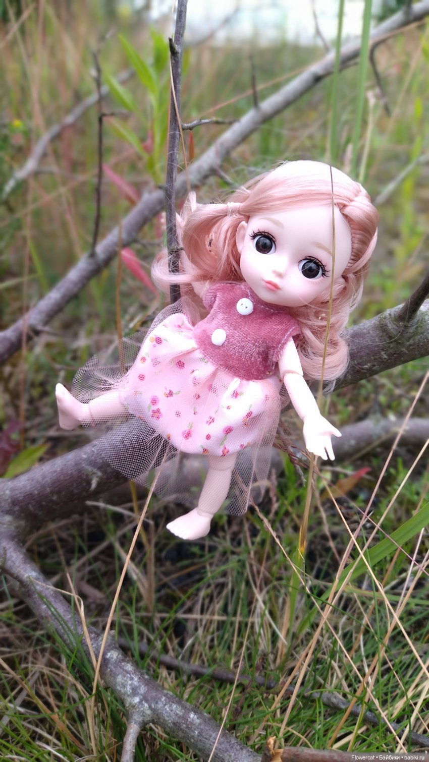Прогулка на озеро — Разные шарнирные куклы (не БЖД): редкие (фото 10)