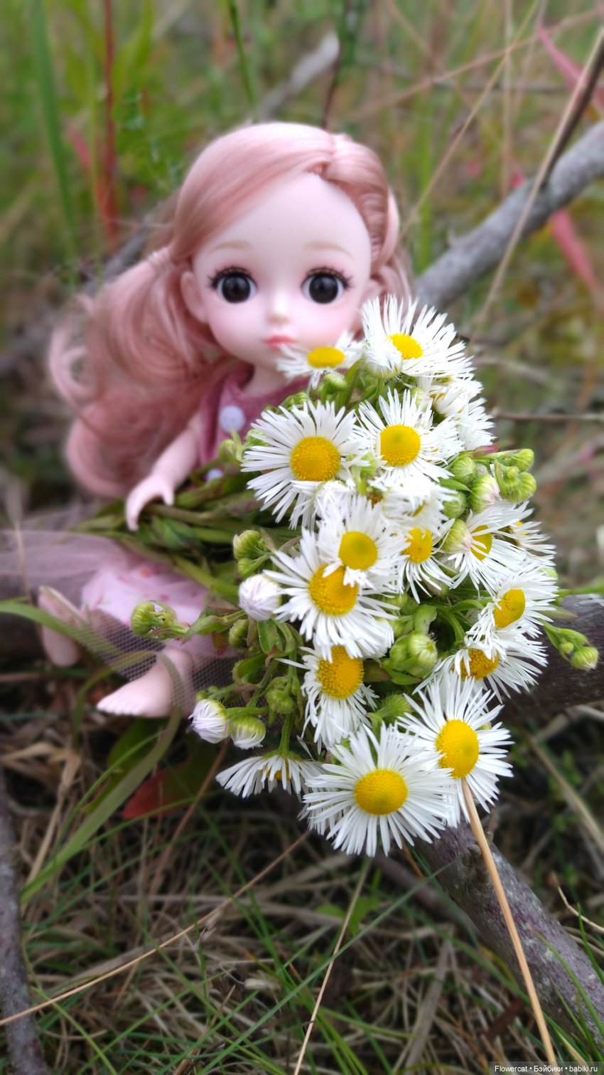 Прогулка на озеро — Разные шарнирные куклы (не БЖД): редкие