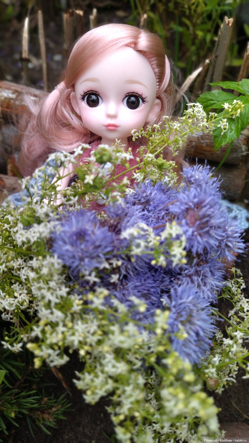 Прогулка на озеро — Разные шарнирные куклы (не БЖД): редкие