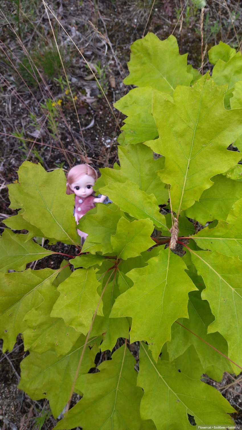 Прогулка на озеро — Разные шарнирные куклы (не БЖД): редкие