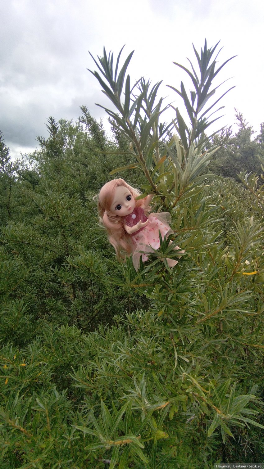 Прогулка на озеро — Разные шарнирные куклы (не БЖД): редкие