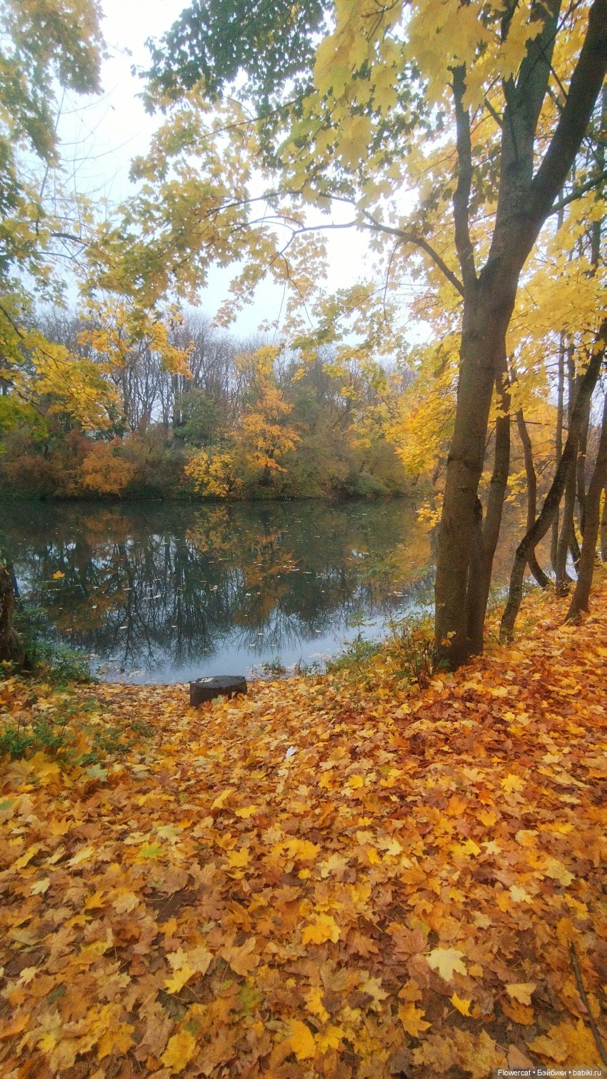 Брызги янтаря в осеннем парке, и немного культурного просвещения)))