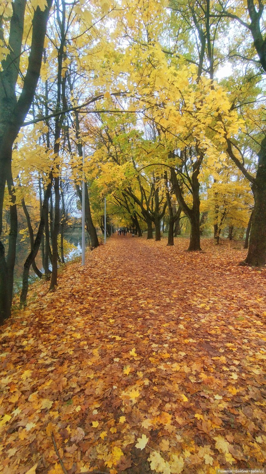 Брызги янтаря в осеннем парке, и немного культурного просвещения)))