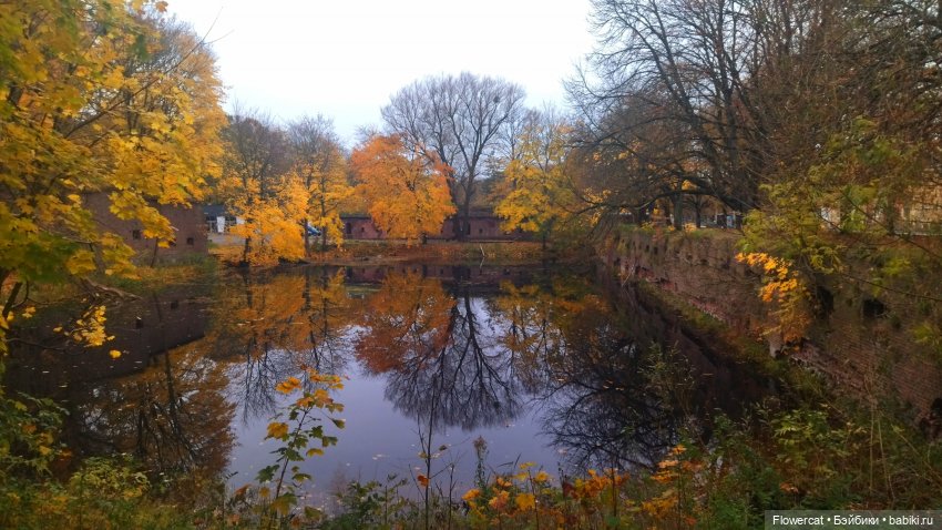 Брызги янтаря в осеннем парке, и немного культурного просвещения))) (фото 6)