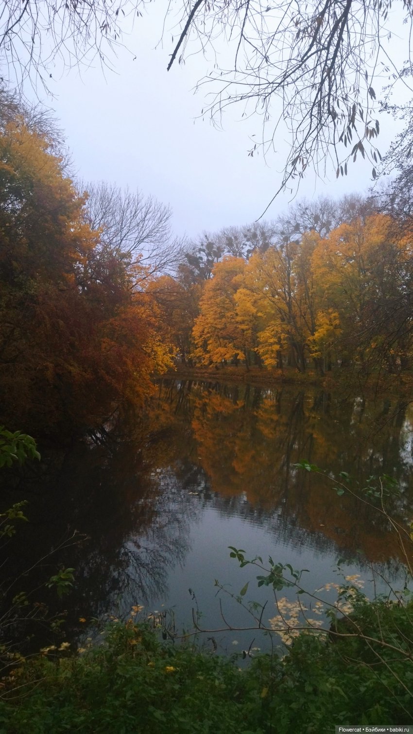 Брызги янтаря в осеннем парке, и немного культурного просвещения))) (фото 7)