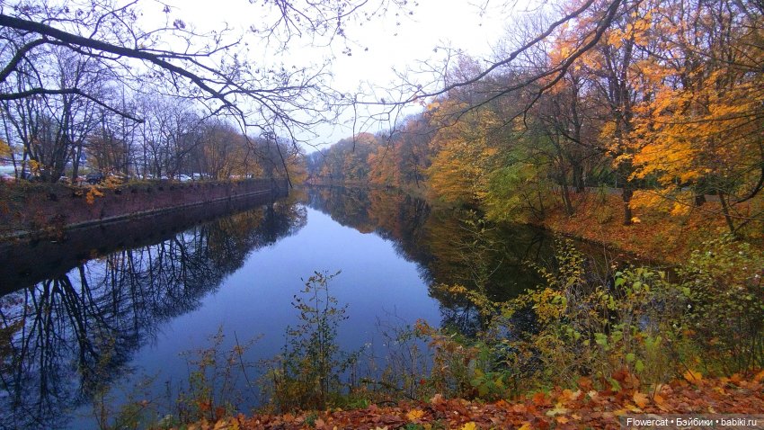 Брызги янтаря в осеннем парке, и немного культурного просвещения)))