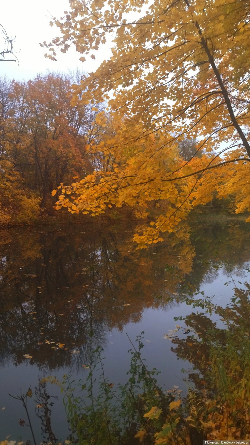 Брызги янтаря в осеннем парке, и немного культурного просвещения)))