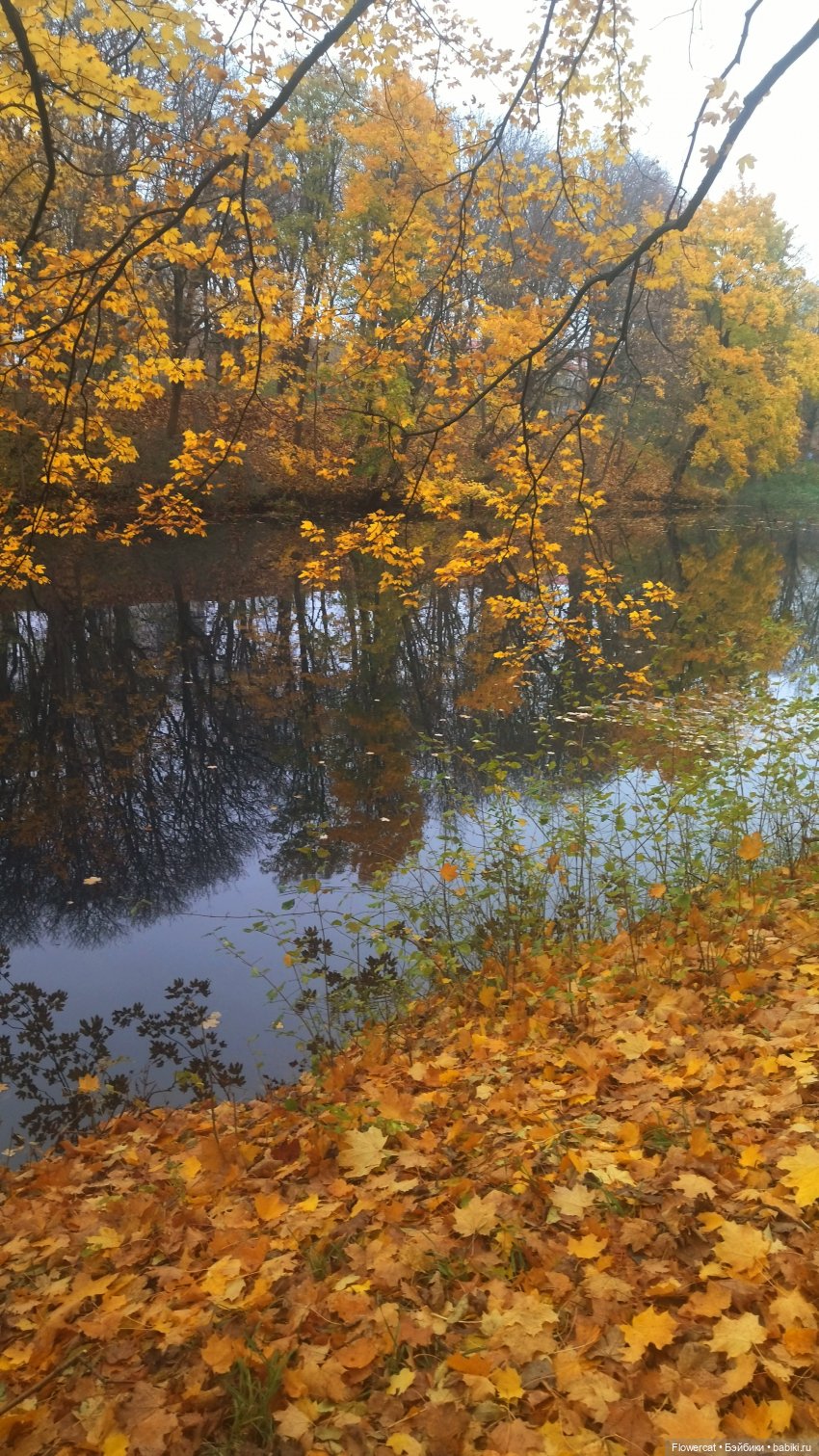 Брызги янтаря в осеннем парке, и немного культурного просвещения)))