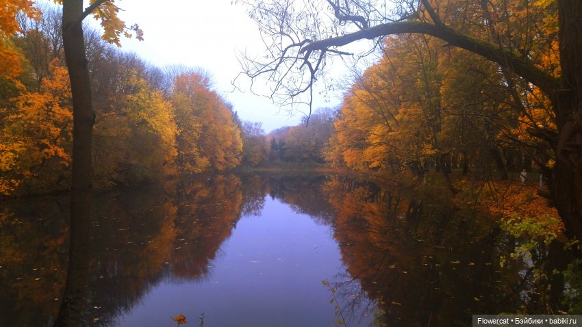 Брызги янтаря в осеннем парке, и немного культурного просвещения)))