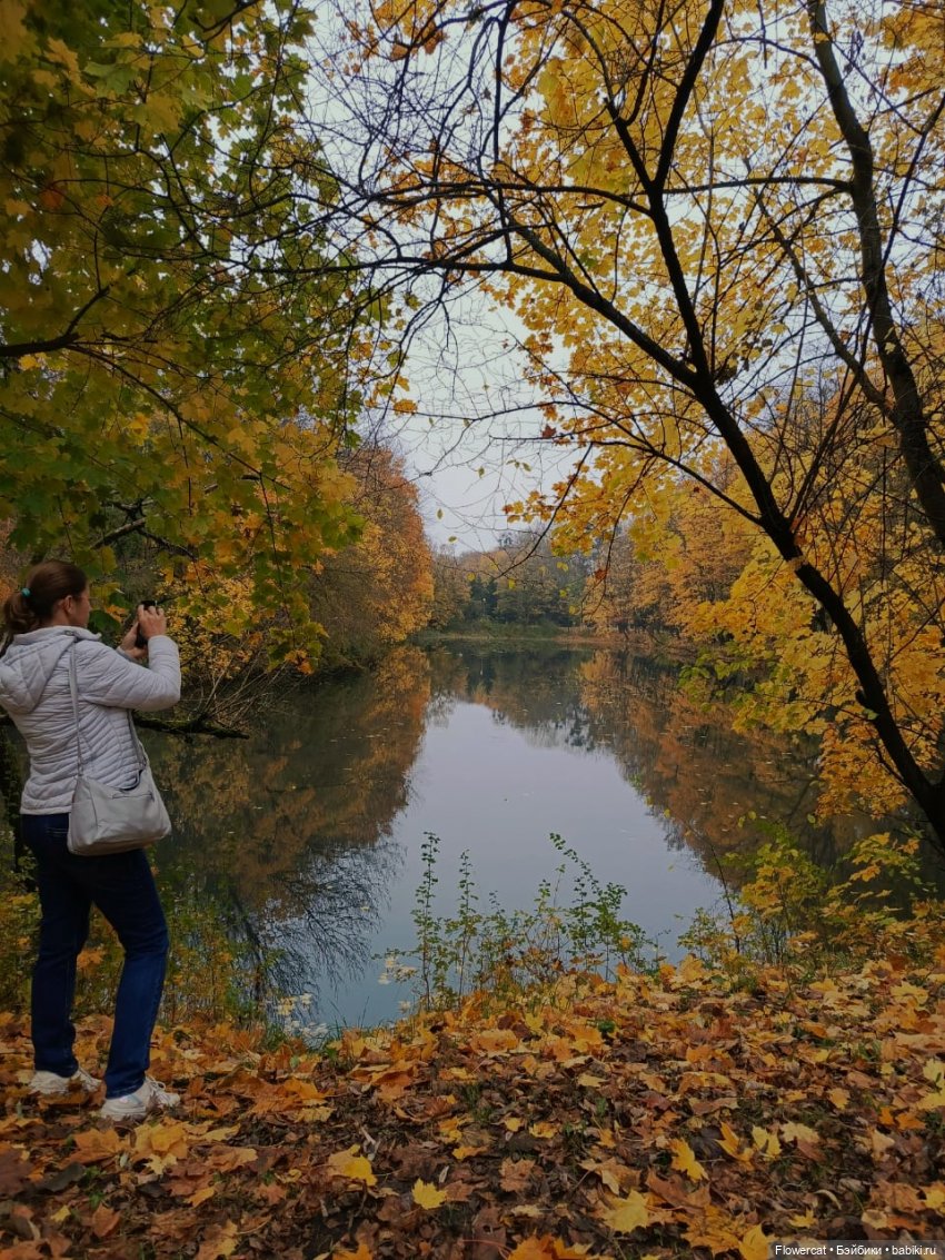 Брызги янтаря в осеннем парке, и немного культурного просвещения))) (фото 5)