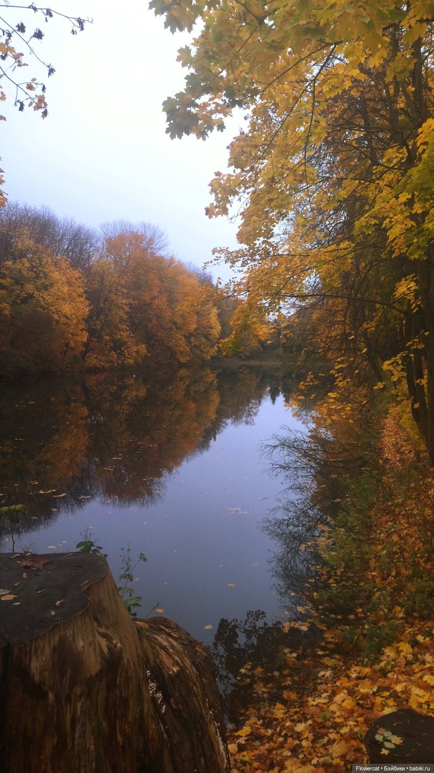 Брызги янтаря в осеннем парке, и немного культурного просвещения)))