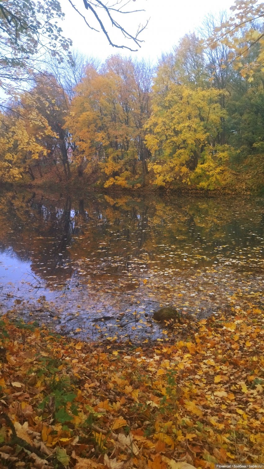 Брызги янтаря в осеннем парке, и немного культурного просвещения)))