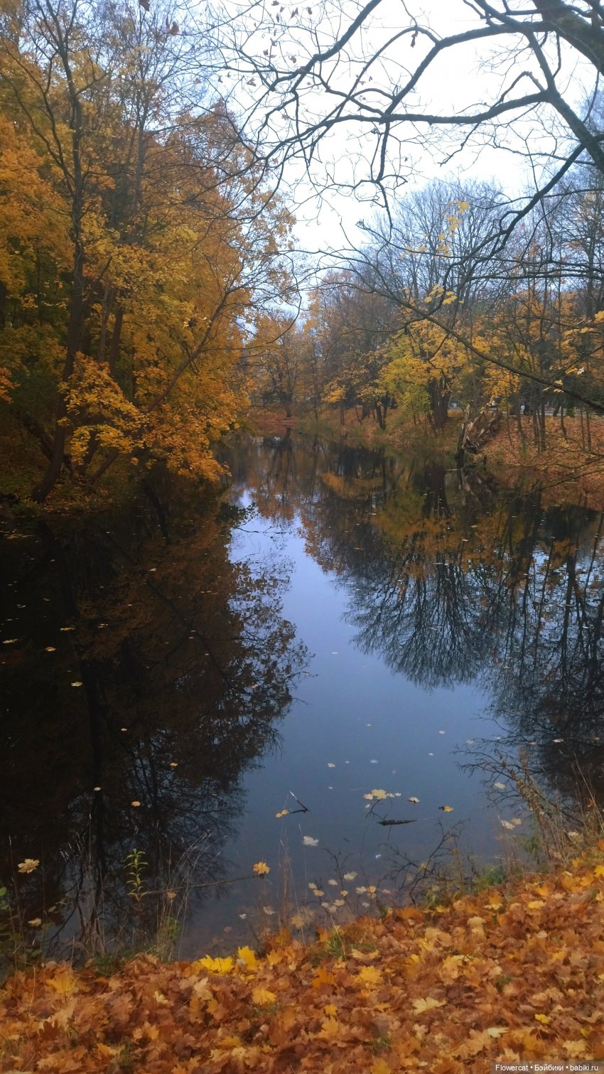 Брызги янтаря в осеннем парке, и немного культурного просвещения)))