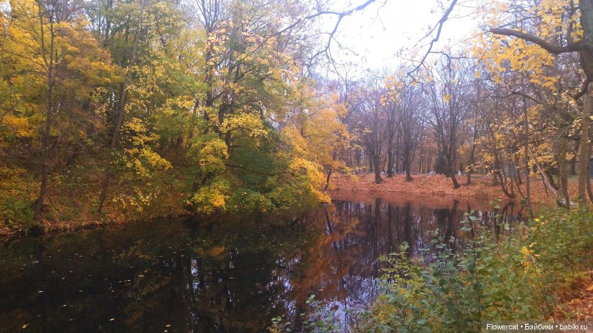 Брызги янтаря в осеннем парке, и немного культурного просвещения)))