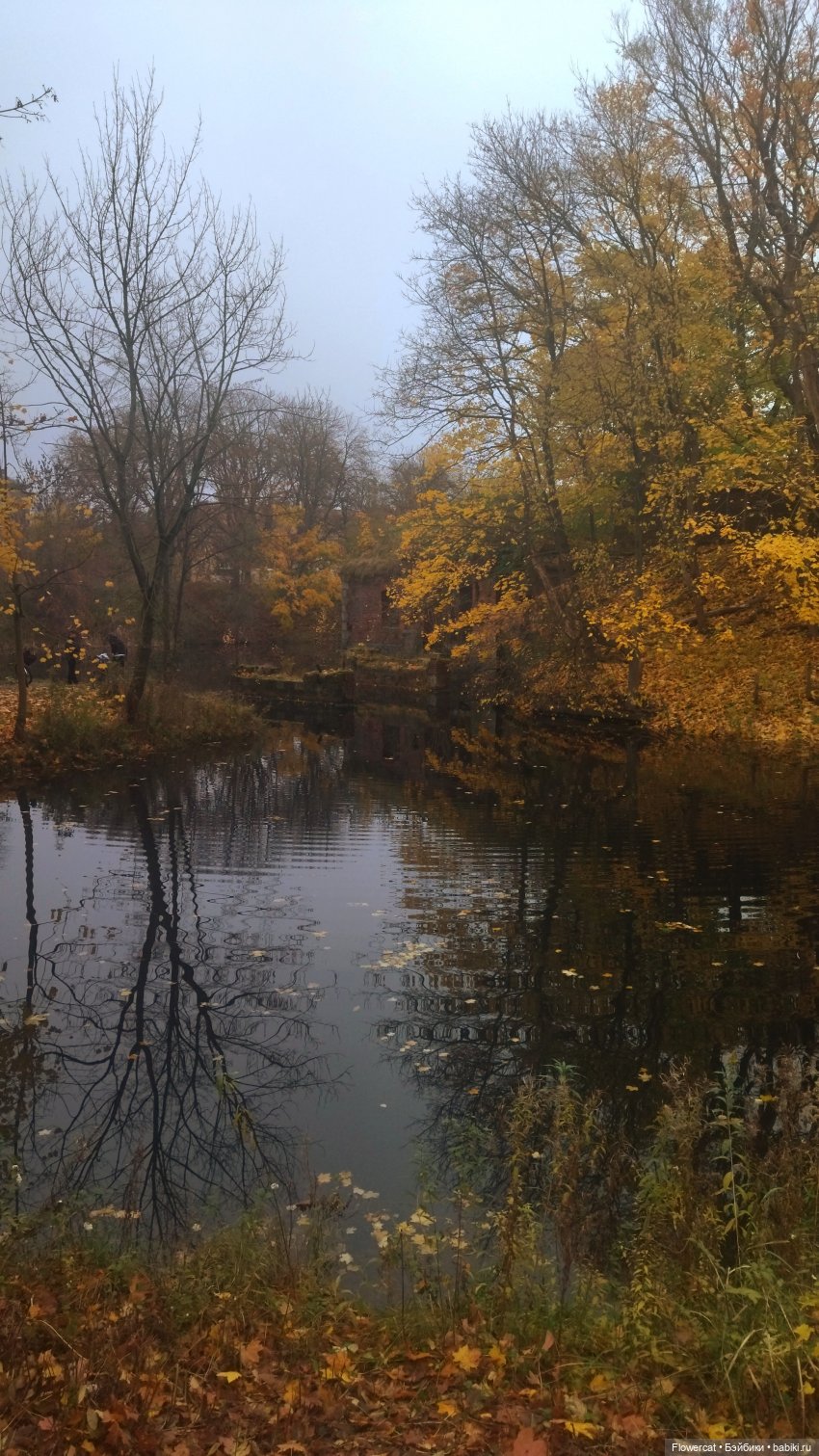Брызги янтаря в осеннем парке, и немного культурного просвещения)))