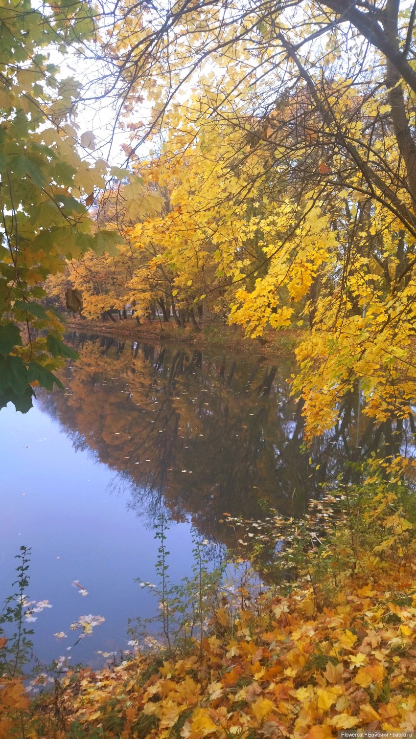 Брызги янтаря в осеннем парке, и немного культурного просвещения))) (фото 8)