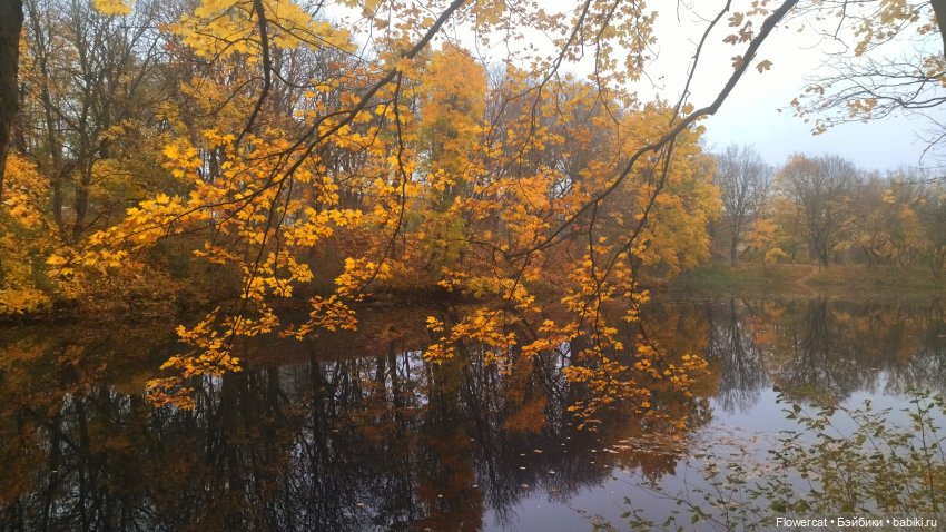 Брызги янтаря в осеннем парке, и немного культурного просвещения)))