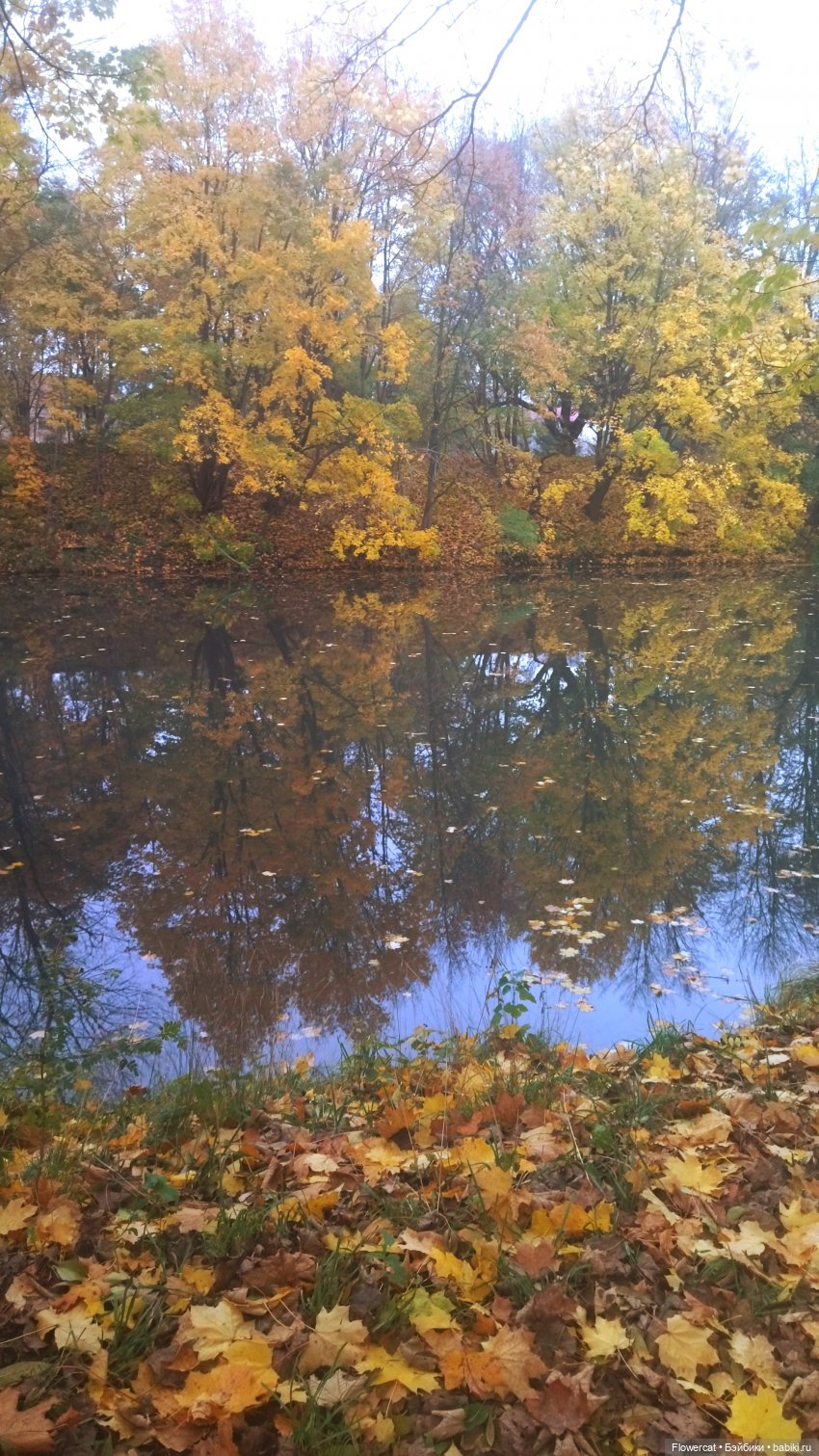 Брызги янтаря в осеннем парке, и немного культурного просвещения)))