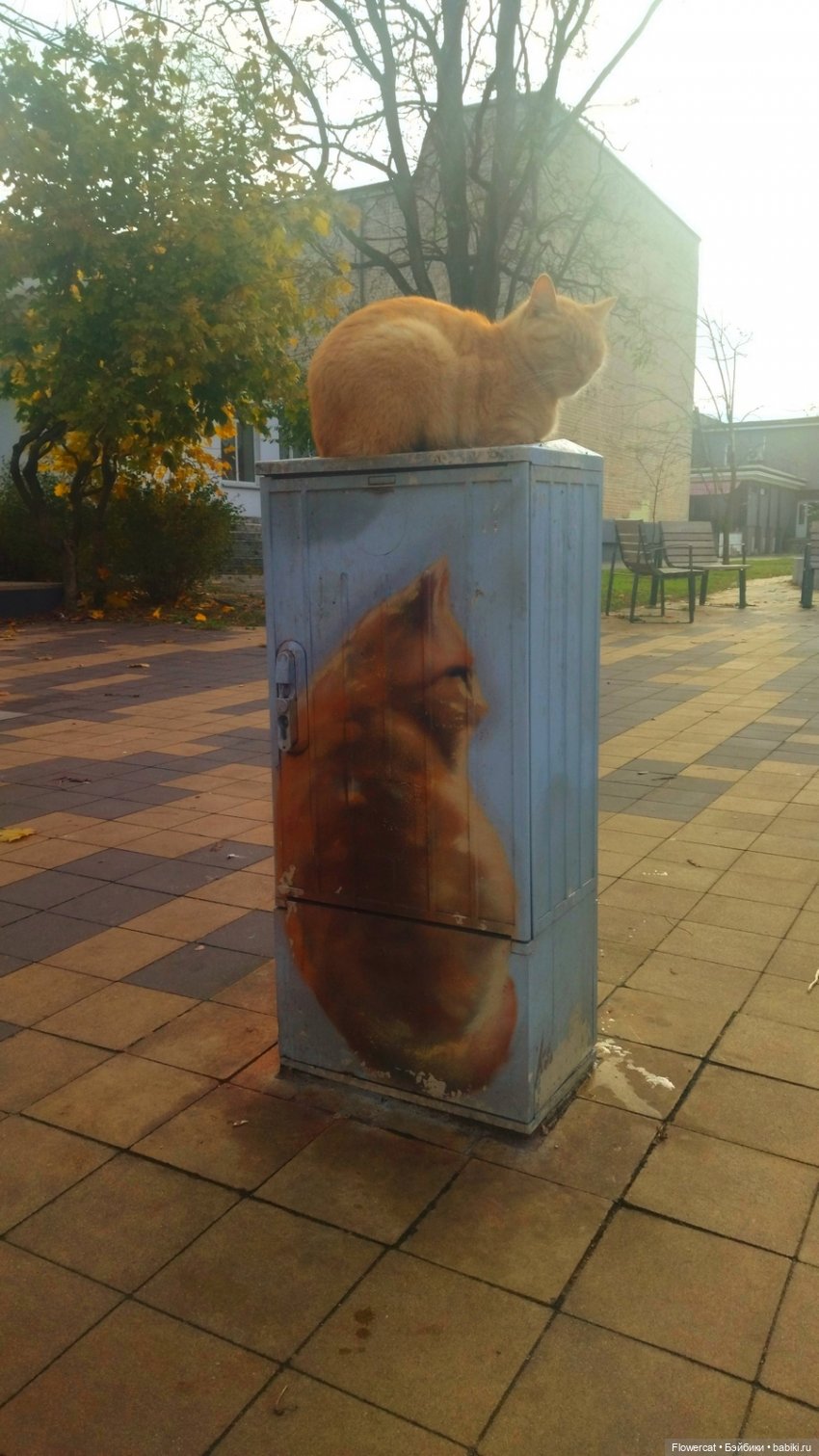 Рыжая осень на Балтийском море - три осени) часть1