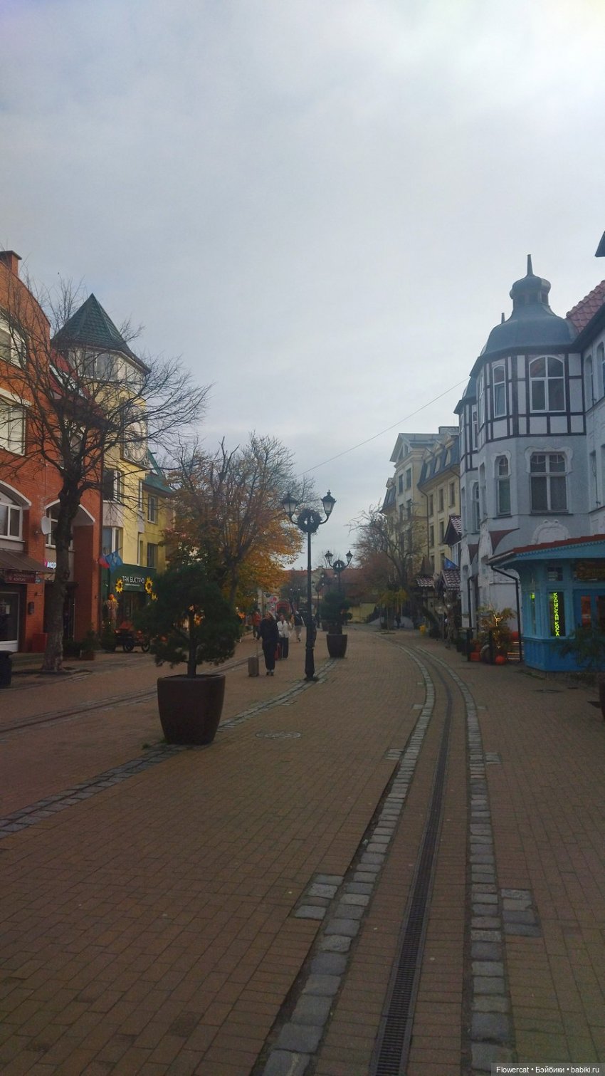 Рыжая осень на Балтийском море - три осени) часть1 (фото 5)