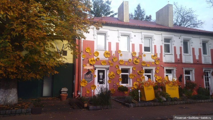 Рыжая осень на Балтийском море - три осени) часть1 (фото 9)