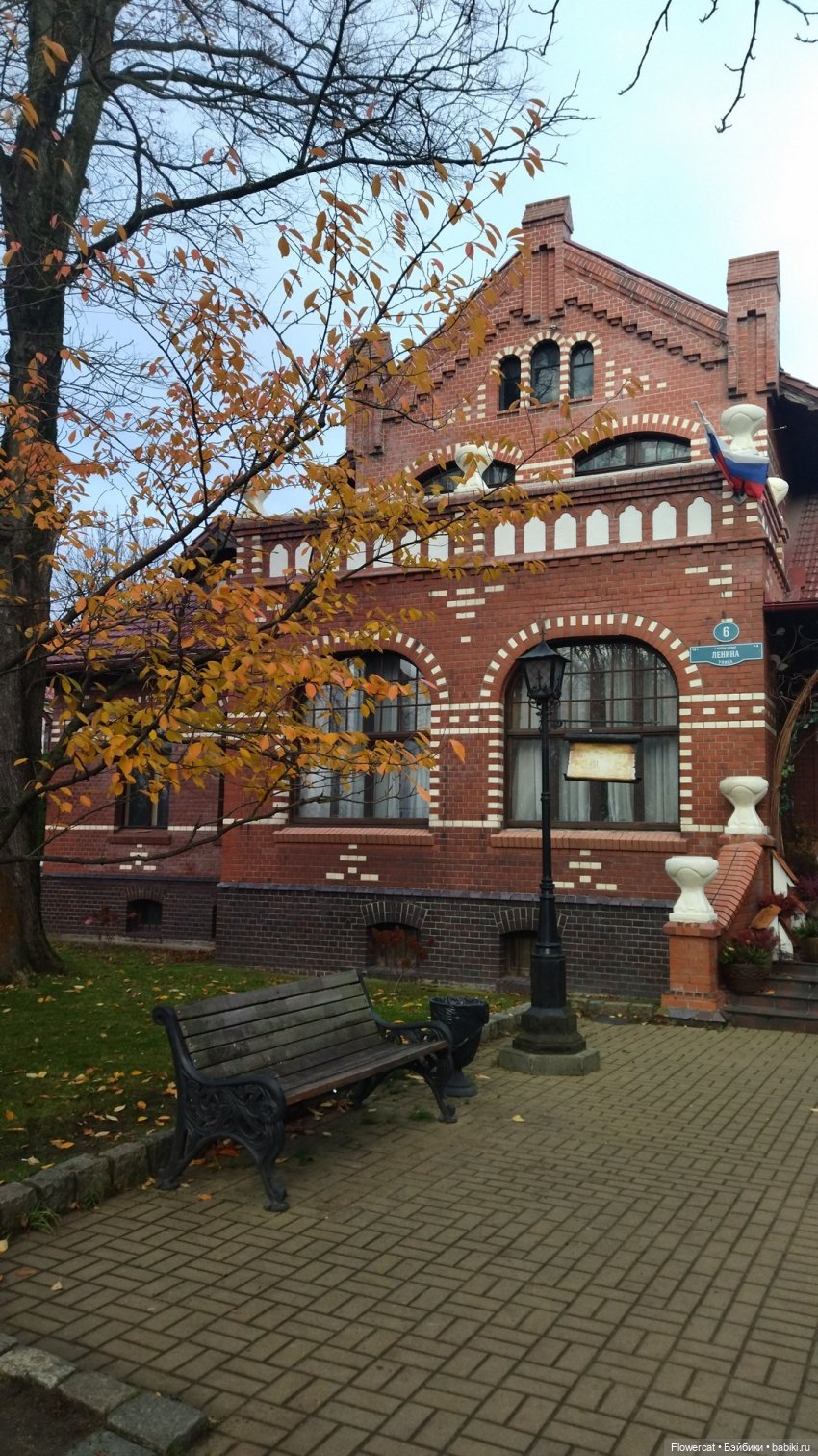 Рыжая осень на Балтийском море - три осени) часть1 (фото 2)