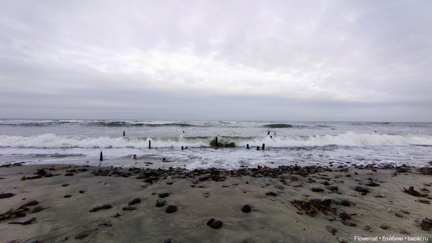 Рыжая осень на Балтийском море - три осени) часть1