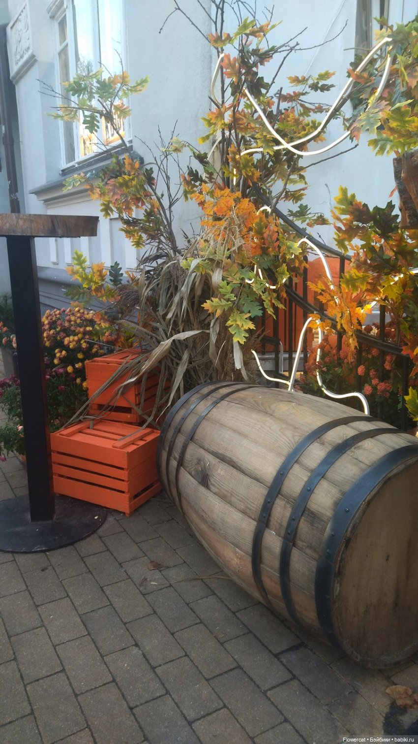 Рыжая осень на Балтийском море - три осени) часть1 (фото 8)