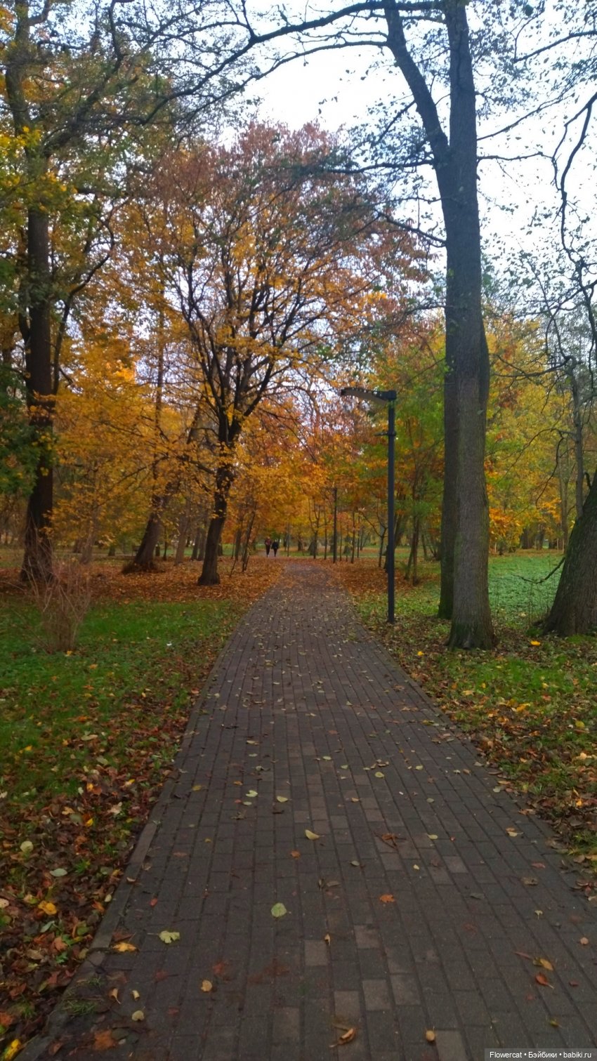 Рыжая осень на Балтийском море - три осени) часть1