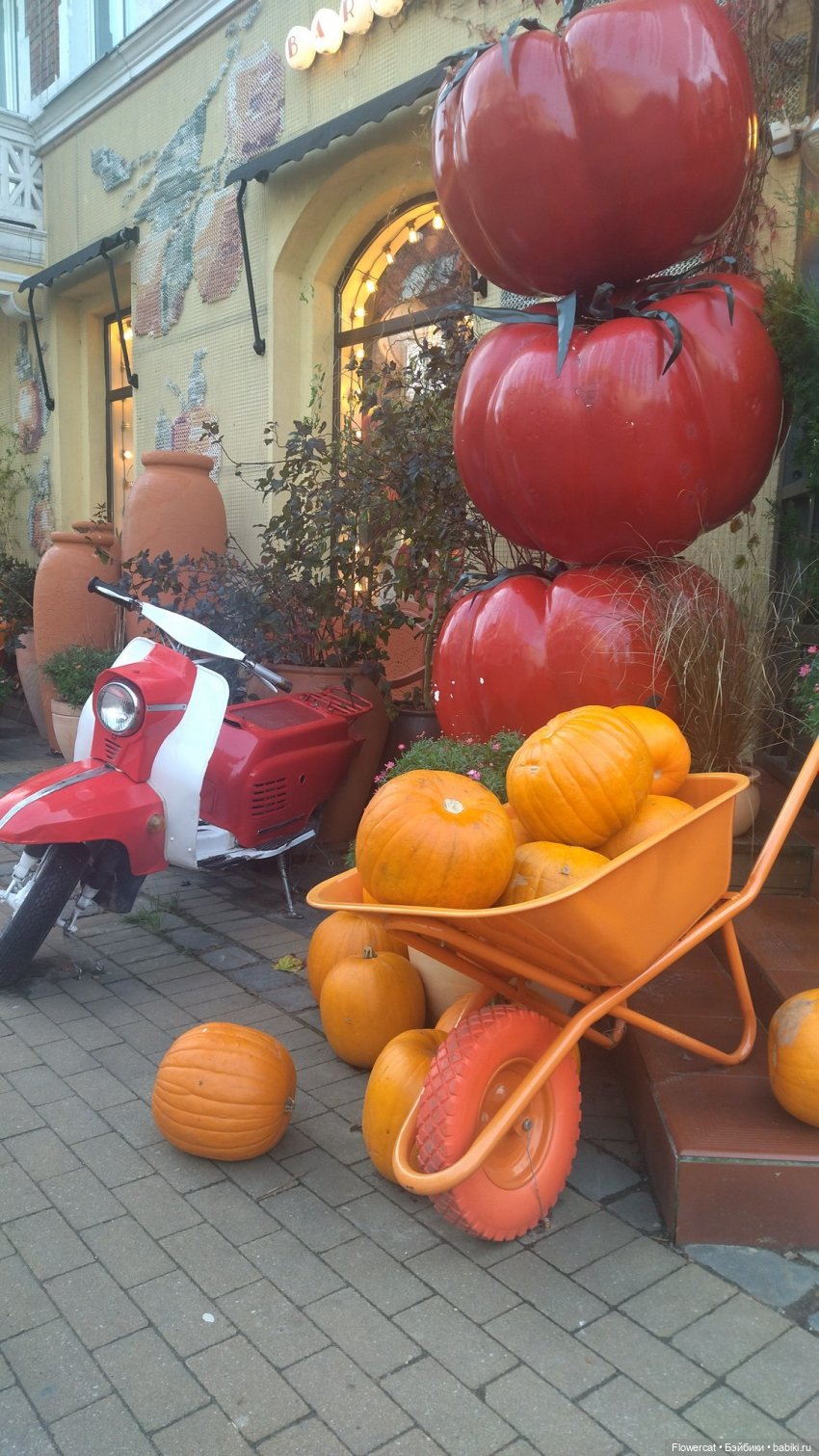 Рыжая осень на Балтийском море - три осени) часть1 (фото 4)