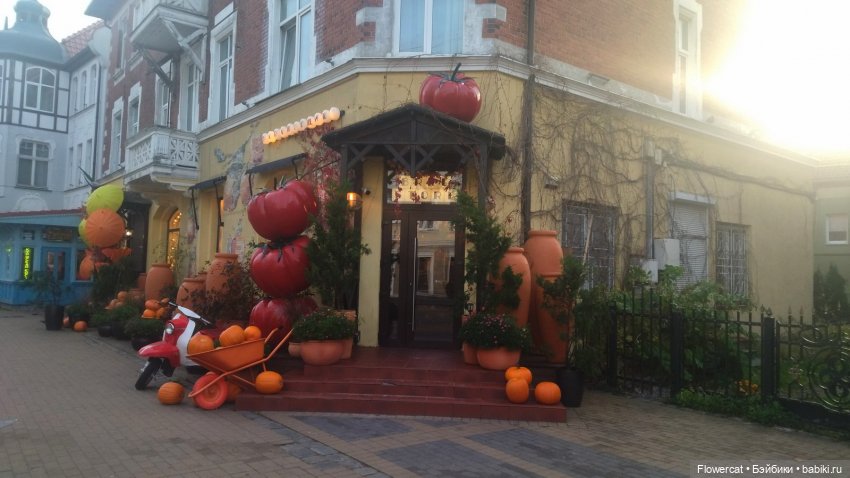 Рыжая осень на Балтийском море - три осени) часть1 (фото 3)