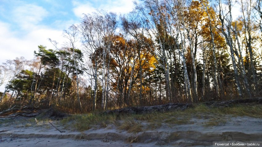 Рыжая осень на Балтийском море - три осени) часть1