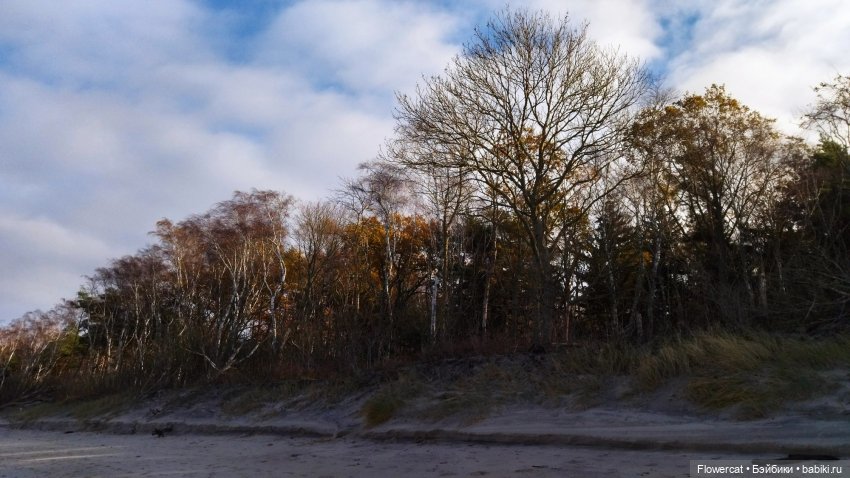 Рыжая осень на Балтийском море - три осени) часть1