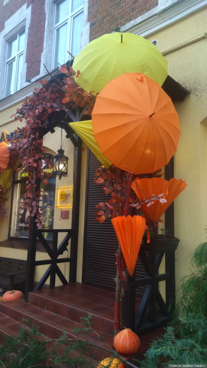 Рыжая осень на Балтийском море - три осени) часть1 (фото 6)