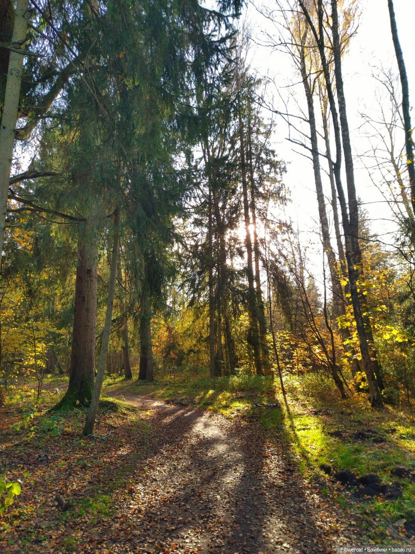 Рыжая осень на Балтийском море - три осени) часть 3