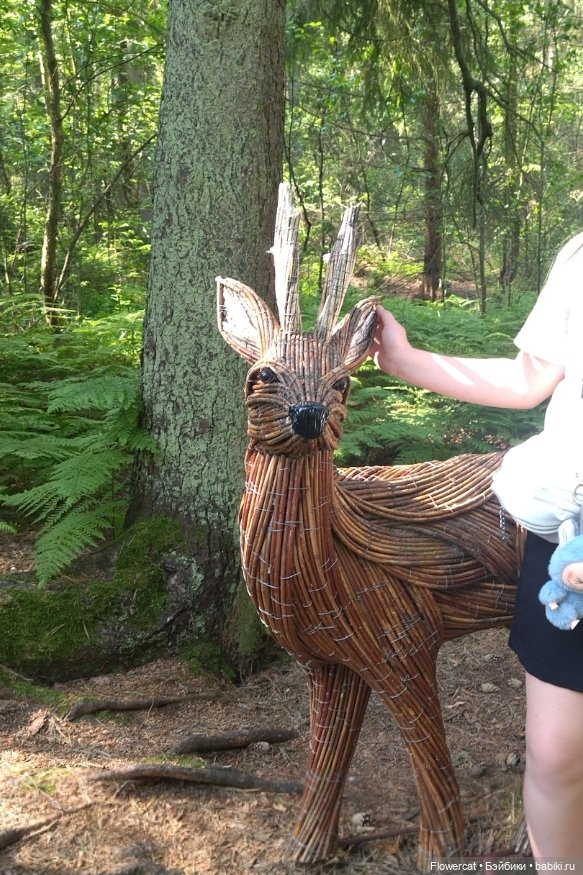 Рыжая осень на Балтийском море - три осени) часть 3 (фото 2)