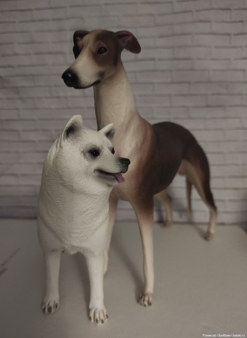 Осенние свидания) погуляем? Вадим и Кристина (фото 7)