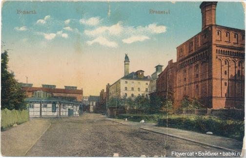 It's almost Christmas... Или предрождественская прогулка на Понарт