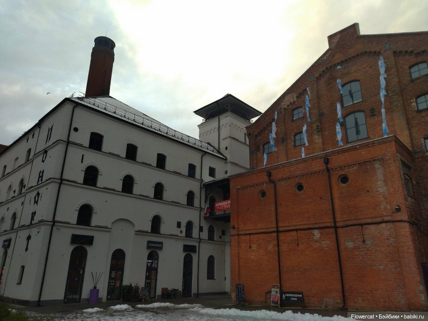 It's almost Christmas... Или предрождественская прогулка на Понарт (фото 6)