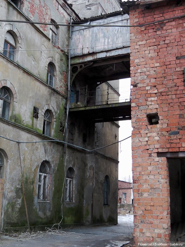 It's almost Christmas... Или предрождественская прогулка на Понарт (фото 5)